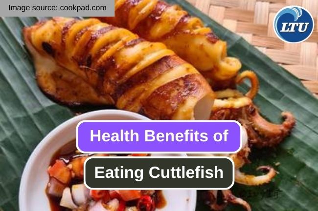 8 Health Benefits You Can Get from Cuttlefish